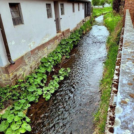 Ferienwohnung Zum Sollingtor Dassel Zewnętrze zdjęcie