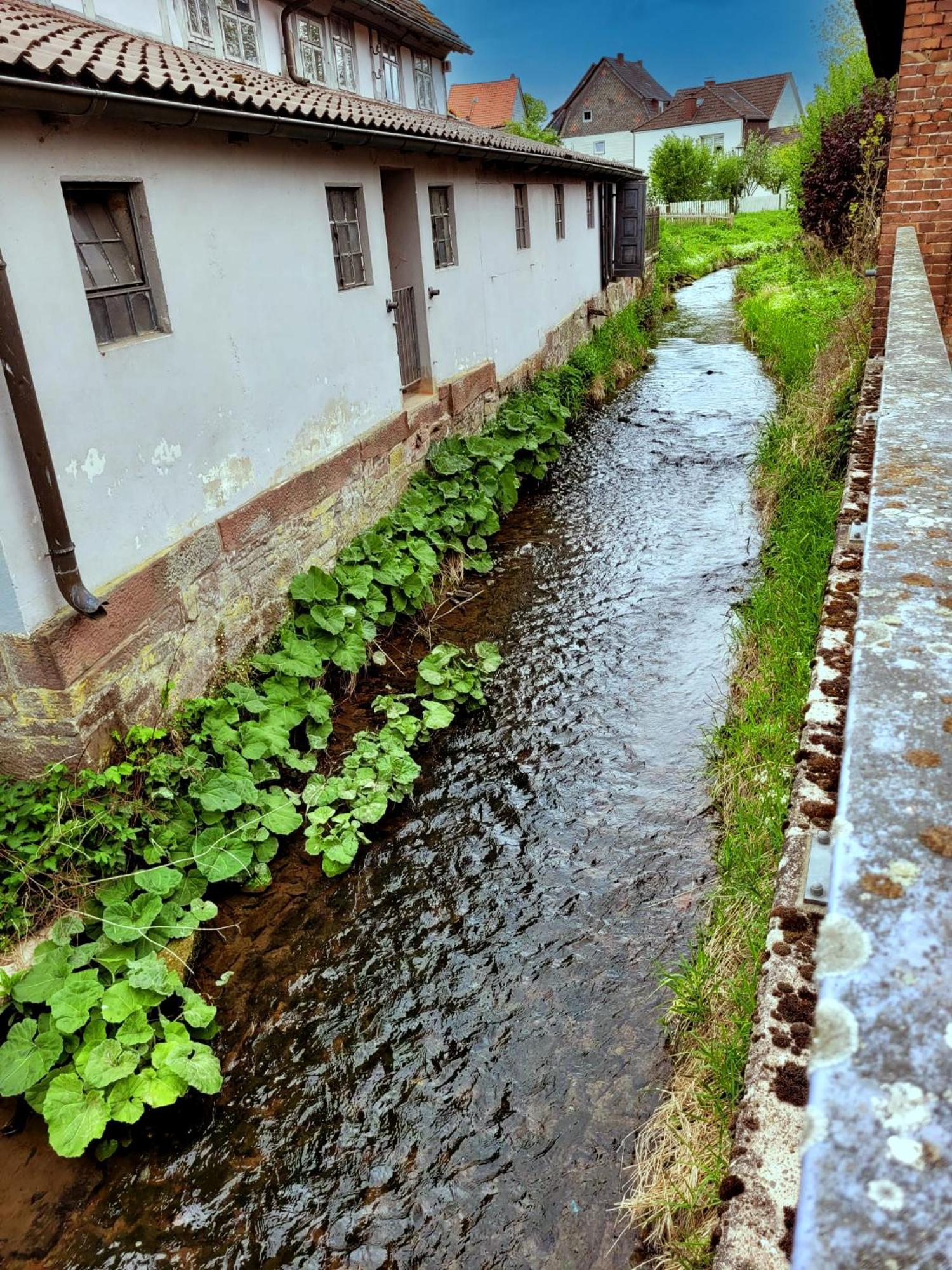 Ferienwohnung Zum Sollingtor Dassel Zewnętrze zdjęcie