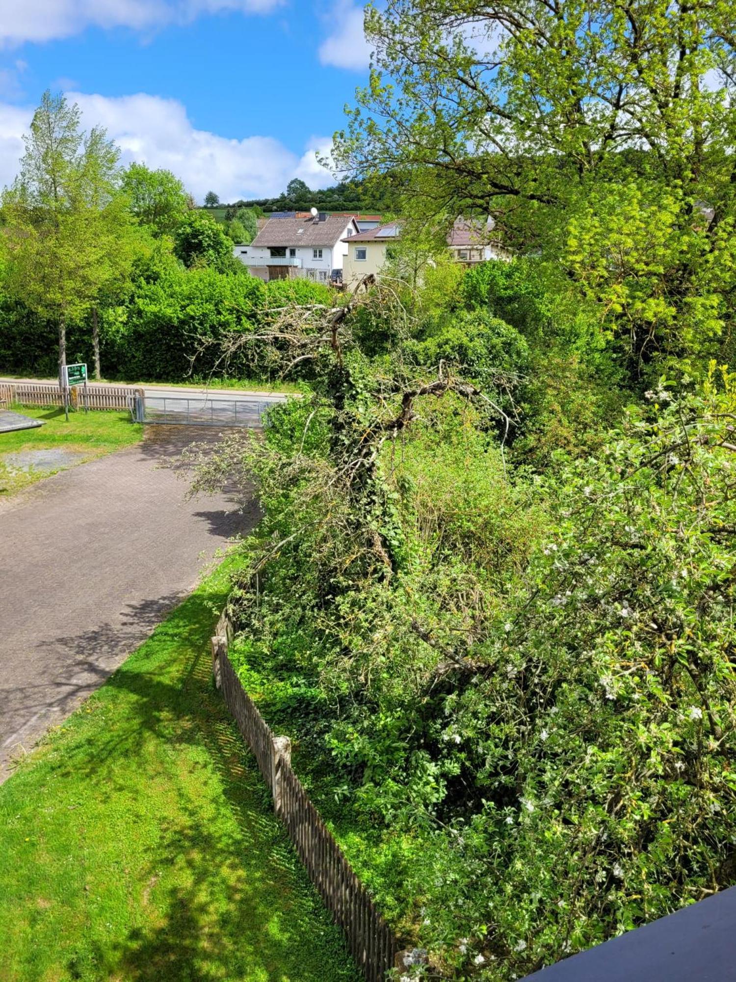 Ferienwohnung Zum Sollingtor Dassel Zewnętrze zdjęcie
