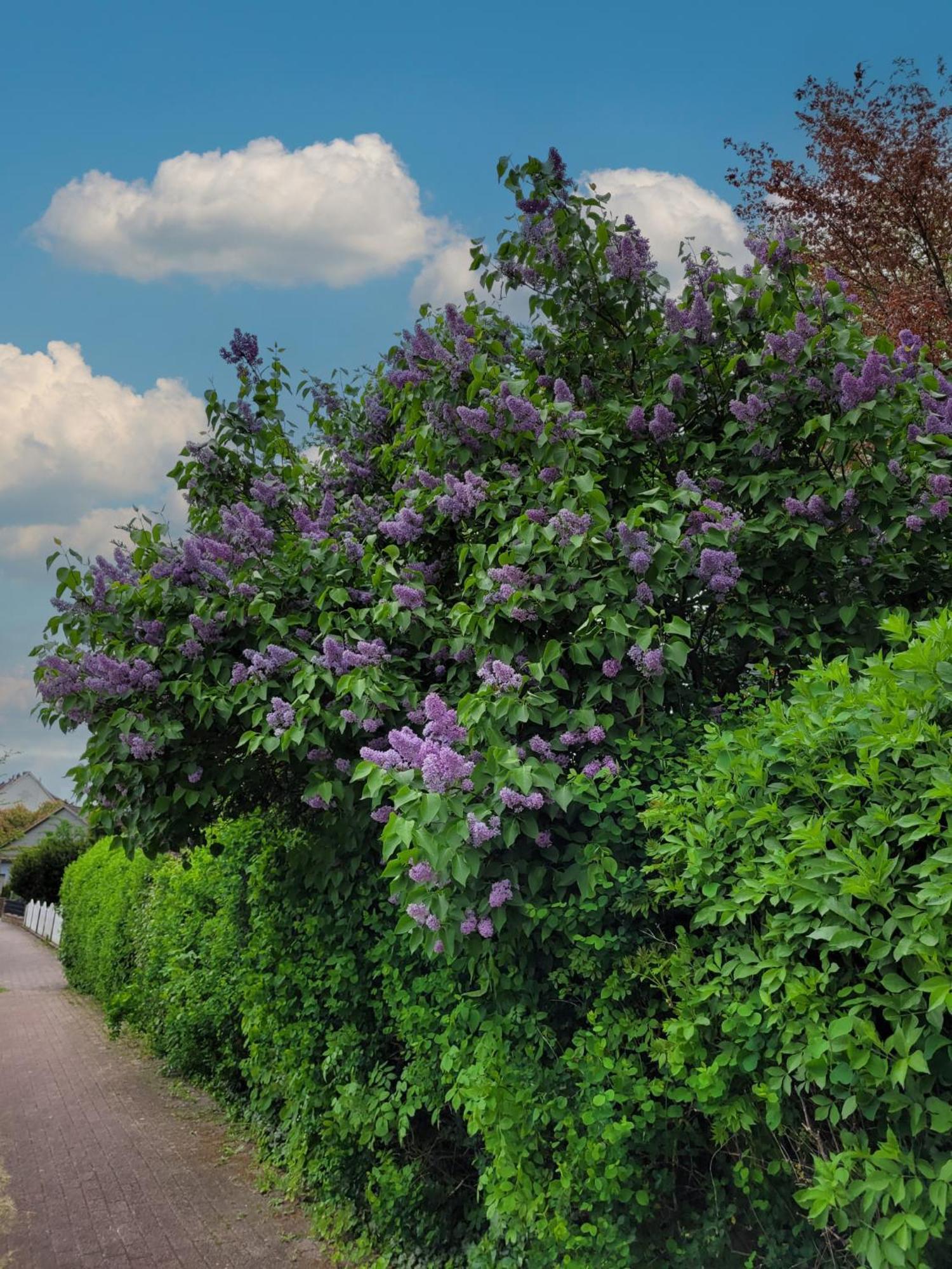 Ferienwohnung Zum Sollingtor Dassel Zewnętrze zdjęcie